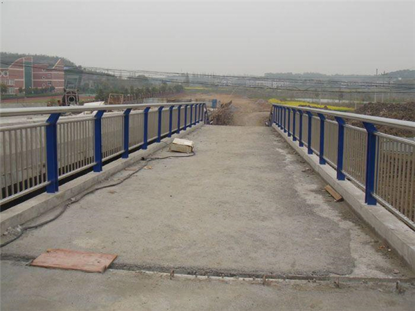 津南桥梁不锈钢护栏
